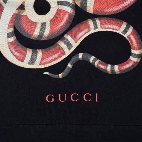 gucci snake face|gucci snake collection.